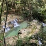 [Wawasan Hill] 都心近郊で手軽に楽しめる 亜熱帯を感じるジュラシックパークの世界 ハイキング クアラルンプール マレーシア